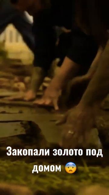 Закопали золото под домом 😨 Название сериала "БУМА? смотреть онлайн