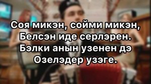 Дамира Саитова - Мин эзлэдем даладан. Текст.