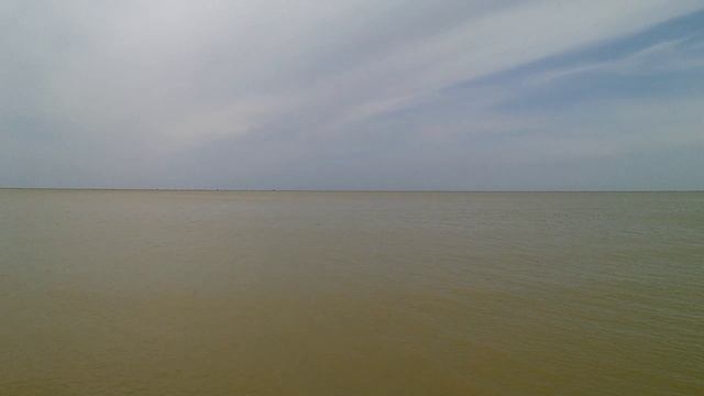 В заливе отлив. Розы уже цветут. смотреть онлайн