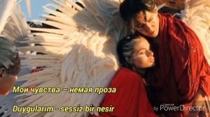 "Любовь уставших лебедей" текст песни (Димаш Кудайберг