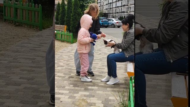 Общение с собачкой на детской площадке. Особенные дети любят животных. смотреть онлайн