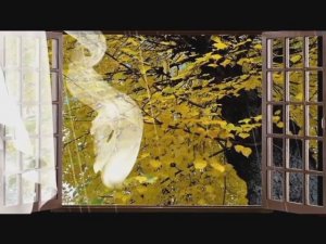 # TANGO АХ,ЭТИ ЛИВНИ! Красивая песня! Танго!... - Людмила Кондрашова 2021