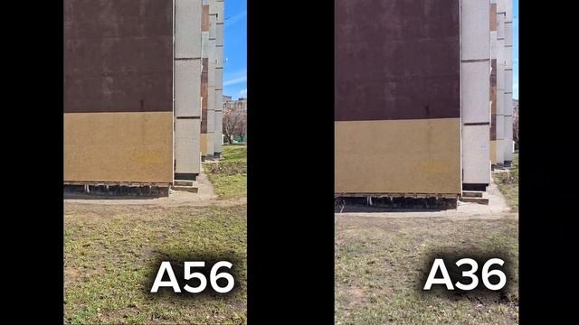 A56 Vs A36 #galaxy #samsung #smartphone #a56 #a36 #shorts #сравнение #vs #самсунг #