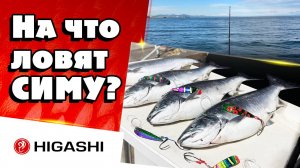 На что ловят симу?