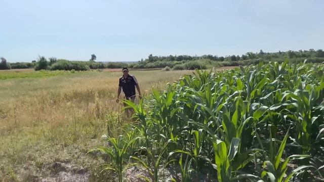 Жнива 2024! Відкриття сезону! Піна SENATOR!  Пінна насадка Geko