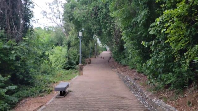 Забрался на знак Pattaya City и заблудился на горе Phra Tamnak