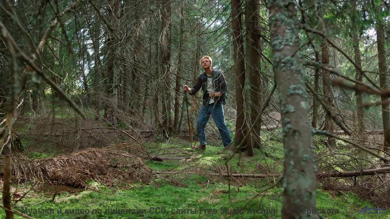 Кадры природы, которые смешнее любого стендапа! - Play For Your People (music Hall Singalong) -- Kes