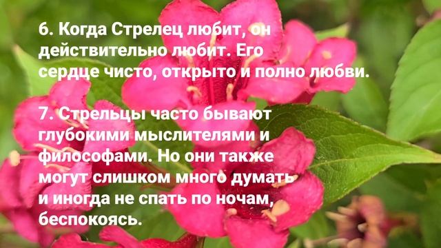 Они способны 