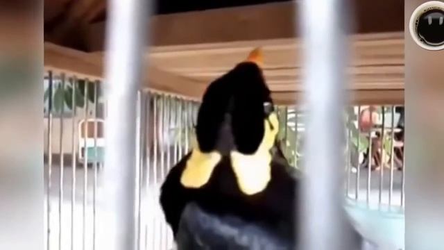 Подборка приколов - полный улет!