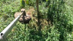 Акумуляторна коса DeWALT DCMST561N