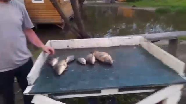 27.05.25 г. парк отдыха водопад смотреть онлайн