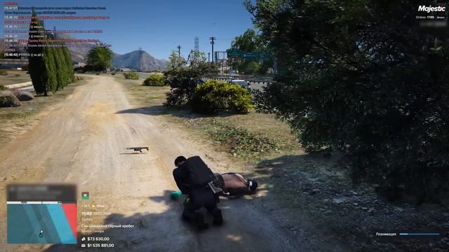 ОДИН ДЕНЬ ИЗ ЖИЗНИ НОН РП ГОСНИКА в ГТА 5 РП / MAJESTIC RP смотреть онлайн