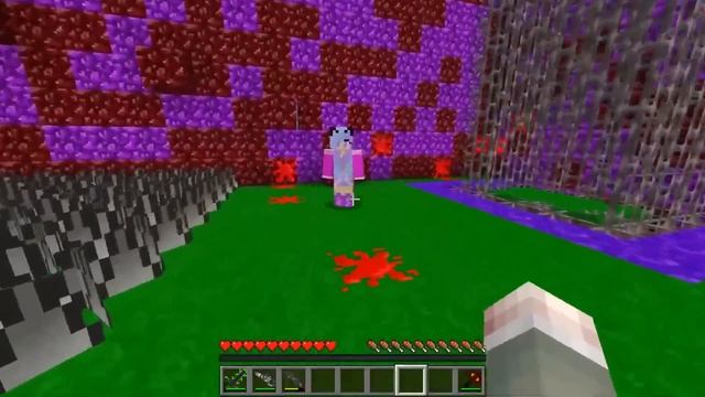 ВЫБЕРИ ПРАВИЛЬНОЕ ИСПЫТАНИЕ В ОГРОМНЫХ ДОМАХ СОНИК БО смотреть онлайн