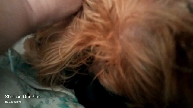 Мой подарок на день рождения или кому в Херсоне нужна ?