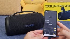 Tribit StormBox Lava – ВЗРЫВНОЙ ЗВУК 80 Вт! Обзор и тест портатив