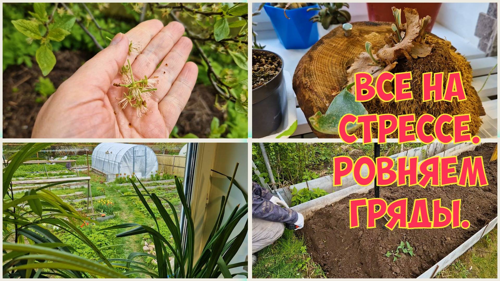 Напасть за напастью. Неутешительные новости из больницы. Каждый переживает по своему. смотреть онлайн