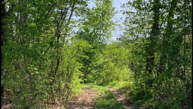 Май смотреть онлайн