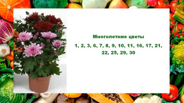 Благоприятные дни для посадки растений в мае 2025 года по Лунному календарю смотреть онлайн