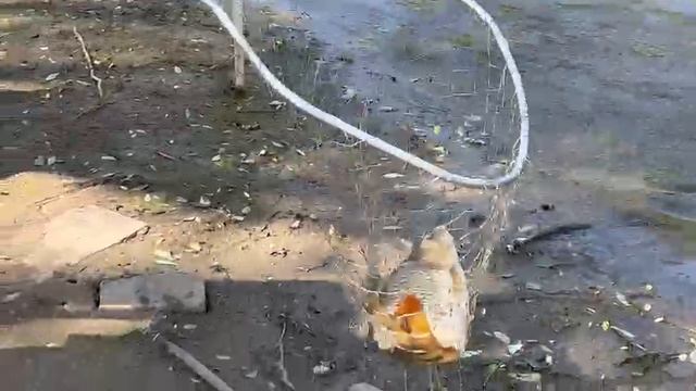 27.05.25 г. парк отдыха водопад смотреть онлайн