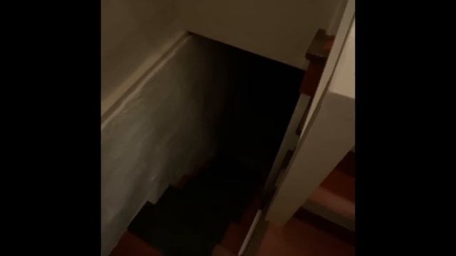 Если бы ЭТО не Засняли на Камеру То Никто бы не Поверил смотреть онлайн