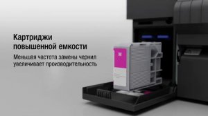 Epson ColorWorks CW-C6000 C6500 – настольные принтеры для печати этикеток