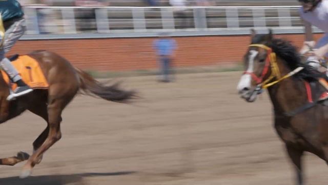 Бэкстейдж с конно-спортивных соревнований на призы ПАО "Татнефть" смотреть онлайн