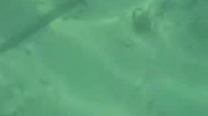 Плавание с трубкой...2