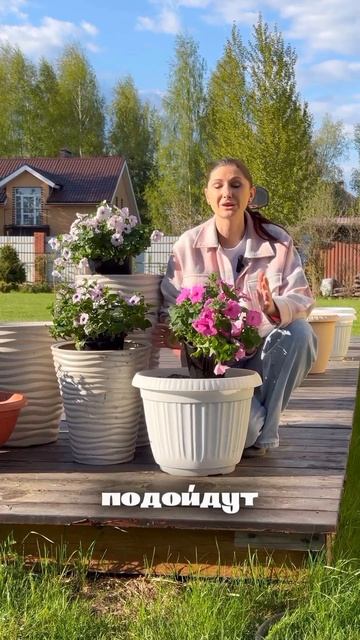 Правильный выбор кашпо для петуний смотреть онлайн