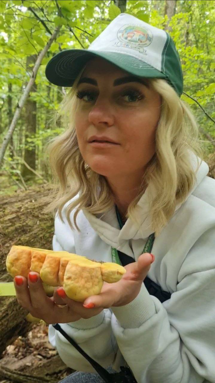 ГРИБЫ ТОЖЕ ПЛАЧУТ. слезы ангела и трутовик серно желтый. СЪЕДОБНЫЕ ГРИБЫ. смотреть онлайн