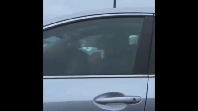 ЗлаЯ собАка Мотя смотреть онлайн