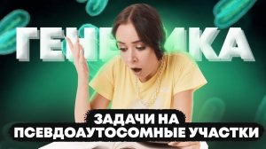 ГЕНЕТИКА: задание 28 Биология ЕГЭ: задачи на псевдоаутосомные участки | Умскул