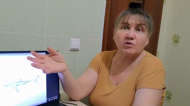 FRIENDLY THUG 52 NGG Two Thousand Nineteen Реакция смотреть онлайн