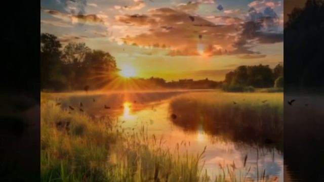 РАССВЕТ,ТУМАН, СОЛНЦЕ,ТРАВА,СЧАСТЬЕ смотреть онлайн