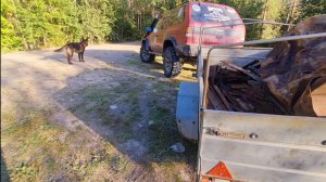 Коп на УЖД превзошел все мои ожидания!! Нашел много хорошего металлолома!