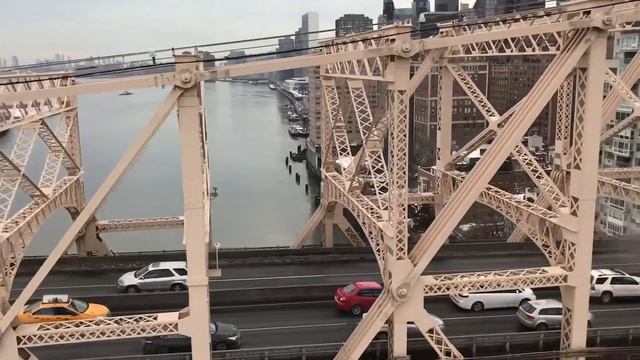 American Life,ЖИЗНЬ В АМЕРИКЕ