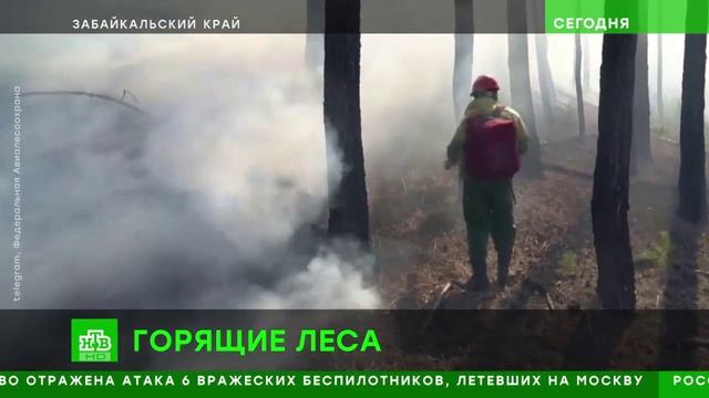 НТВ_Борьба с лесными пожарами смотреть онлайн