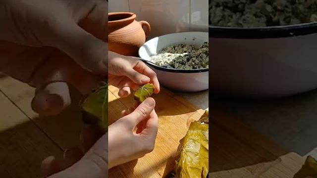 National dish "Dolma" #dolmatarifi #чтоприготовитьнаобед #чтопригото? смотреть онлайн