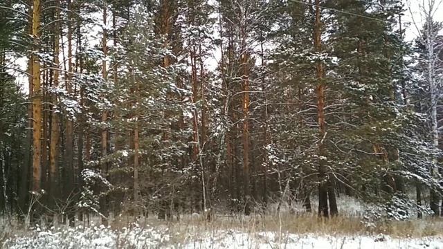 №239.Деревня.Ноябрь.Фильм 3.