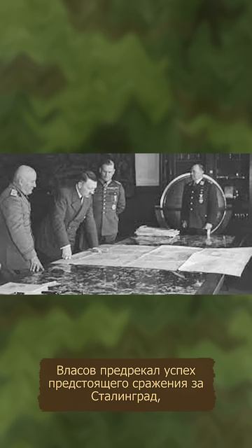 Что рассказал Власов на первом допросе в немецком плену? #двевойны #военнаяистория #history #битвы смотреть онлайн