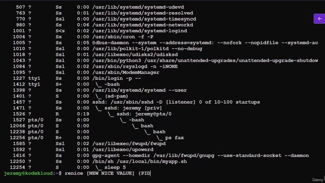 LFCS_44. Diagnose and Manage Processes смотреть онлайн
