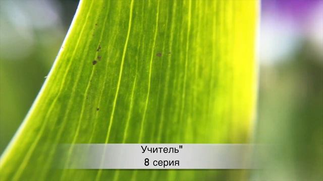 УЧИТЕЛЬ 8 серия РУССКАЯ ОЗВУЧКА смотреть онлайн