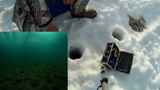 Выловил всю стаю. На мормышку. смотреть онлайн