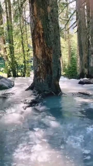 Большая вода в Домбае смотреть онлайн