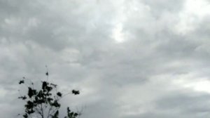 Ветка:Стихотворение;Дитя ноября.