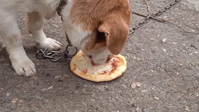 Поедание необычайно вкусной плюшки с вареньем