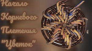 МК. Начало корневого плетение "Цветок" из бумажной лозы. #483