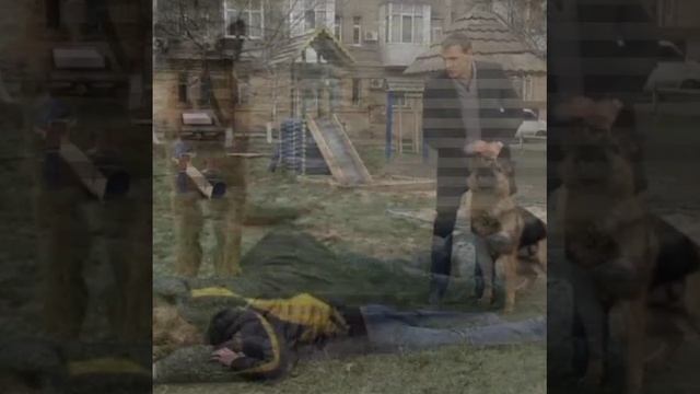 Слово Мухтара. Преступник на асфальте.