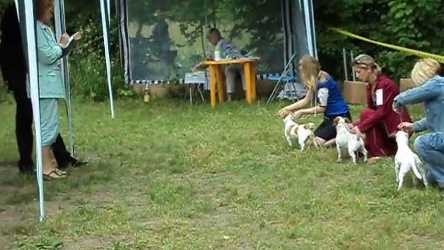 Мотя на выставке в Сергиевом Посаде 10 июля 2011 г.