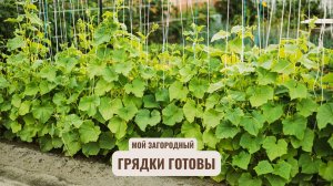 Грядки готовы! Мой Загородный