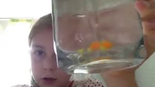 Шарики растущие в воде смотреть онлайн